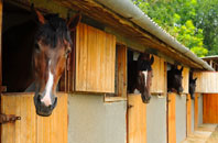 free Weston Common stable construction quotes